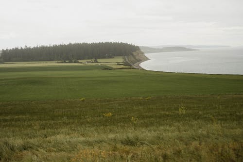 涟漪海附近的岩石海岸 · 免费素材图片