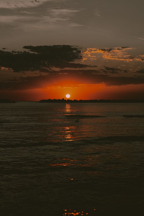 有关佩服, 假日, 充满活力的免费素材图片