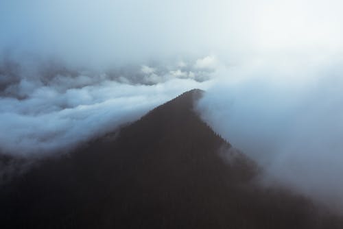 山峰覆盖着雾中的森林 · 免费素材图片