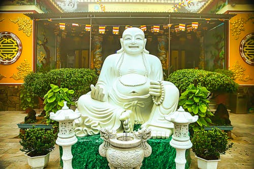 有关佛, 灰色混凝土, 盆栽的免费素材图片