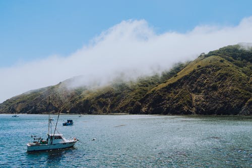有关冷静, 和平, 和平的的免费素材图片