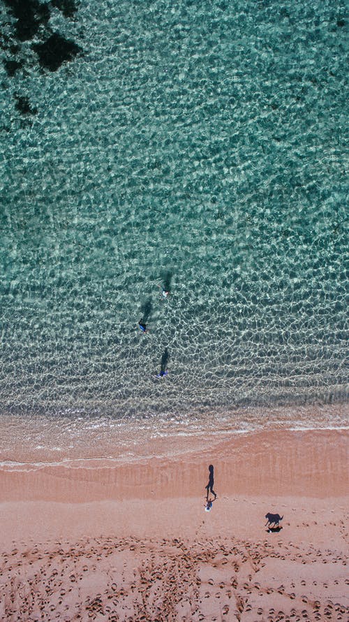 有关人, 假期, 和平的的免费素材图片