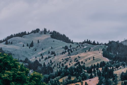 有关住, 冷静, 和平的的免费素材图片