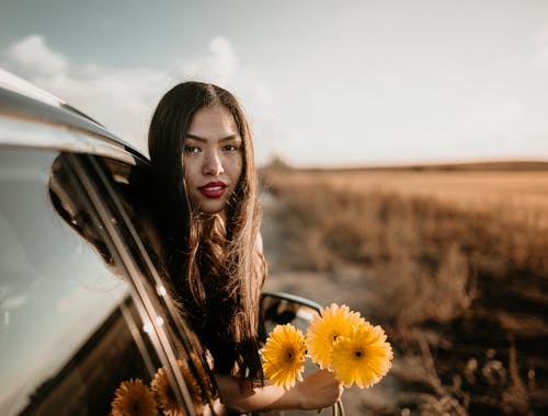女人手捧花 · 免费素材图片