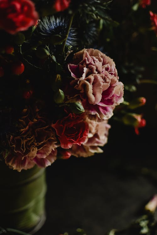 白色陶瓷花瓶中的粉红玫瑰 · 免费素材图片
