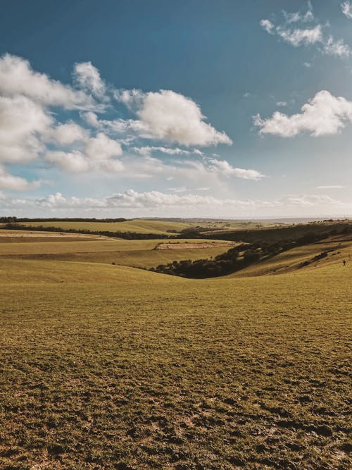 有关天性, 户外, 日光的免费素材图片