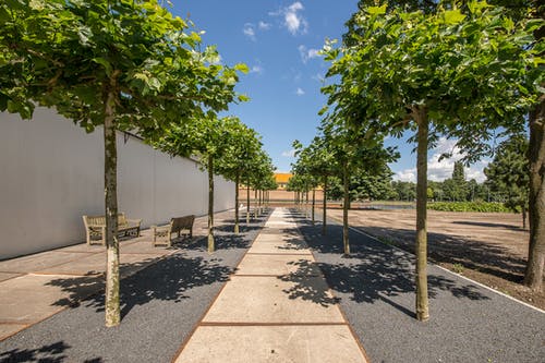 有关公园, 小径, 树木的免费素材图片