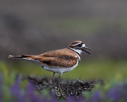 有关全身, 公园, 冷静的免费素材图片