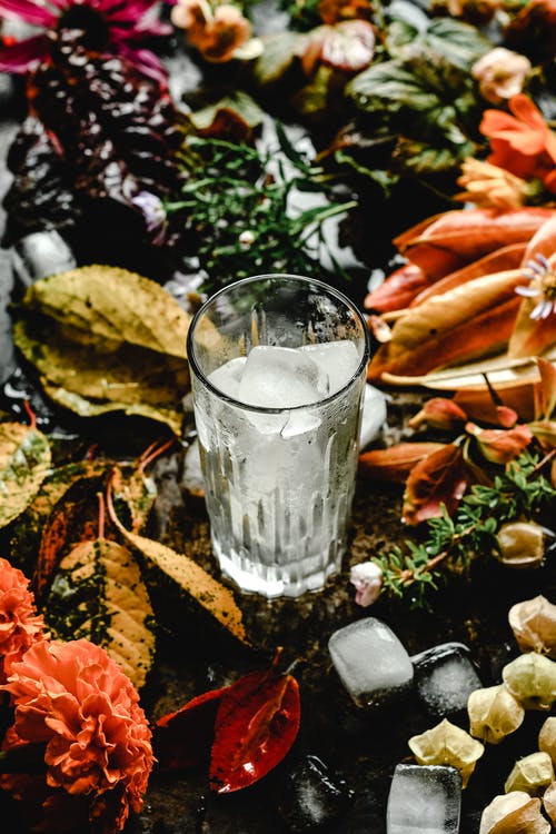 棕色叶子上的透明水杯 · 免费素材图片