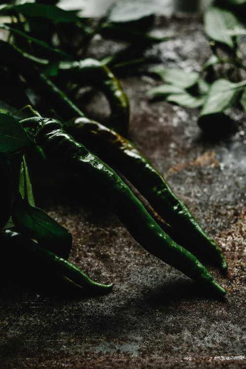 黑土上的绿色植物 · 免费素材图片