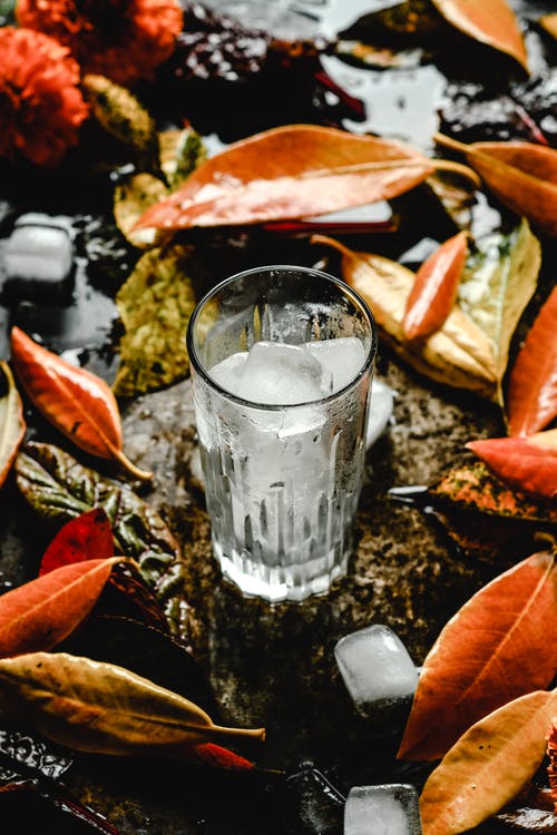 棕色叶子上的透明水杯 · 免费素材图片