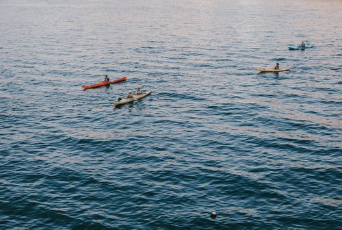 有关休闲, 冒险, 划独木舟的免费素材图片