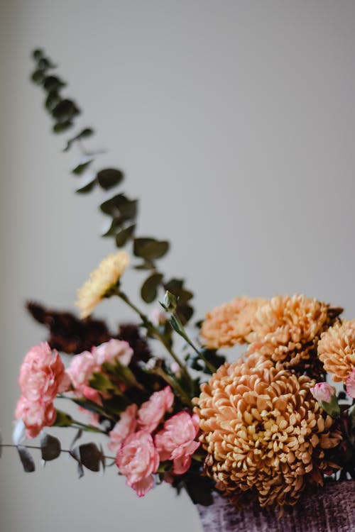 移轴镜头中的粉色和黄色花朵 · 免费素材图片