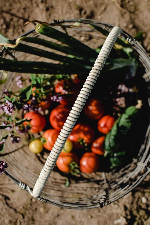 布朗编织篮子上的橙色西红柿 · 免费素材图片