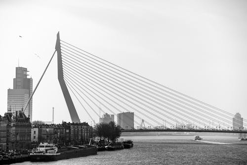 有关吊桥, 单色, 城市的免费素材图片