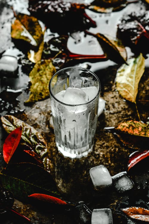 黑色和棕色叶子上的透明水杯 · 免费素材图片