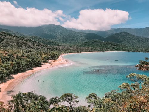 有关丛林, 和平, 和平的的免费素材图片