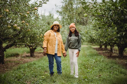 开朗的民族园丁，女儿牵着的手在苹果树之间 · 免费素材图片