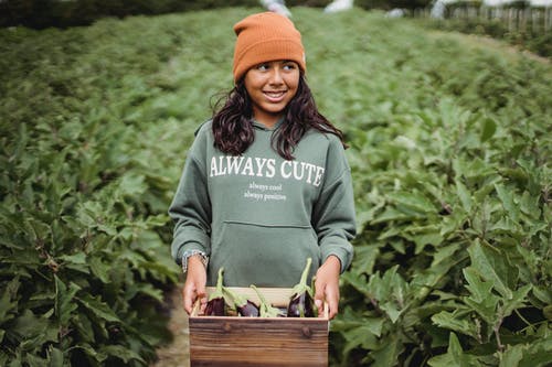 性格开朗的族裔女孩用茄子在农场的盒子里 · 免费素材图片