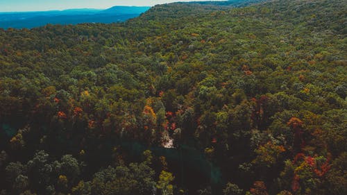 有关下落, 不变, 和谐的免费素材图片