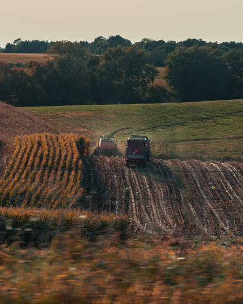 有关下田, 土, 平行的免费素材图片