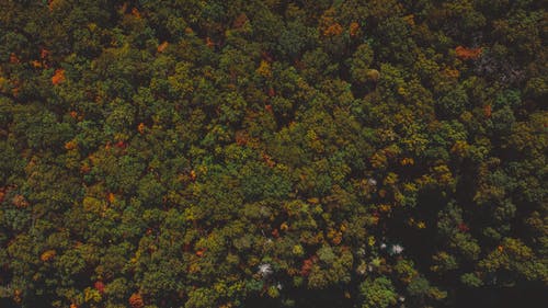 有关Copyspace, 下落, 不变的免费素材图片