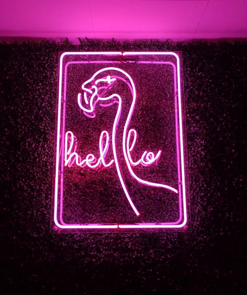 有关你好, 商业, 明亮的免费素材图片