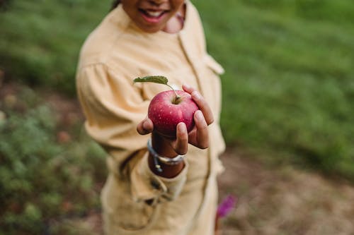 作物显示成熟的苹果的年轻女孩 · 免费素材图片