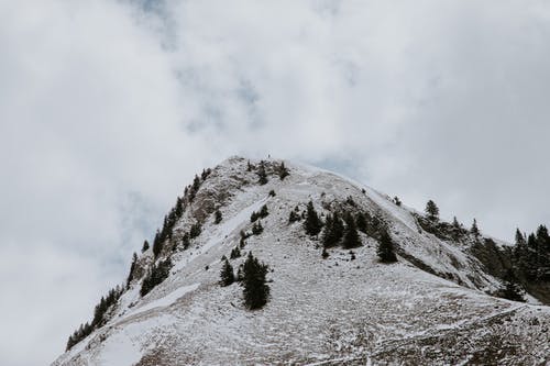 有关从下面, 低角度, 冬季的免费素材图片