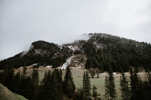有关冷静, 厚, 原本的免费素材图片