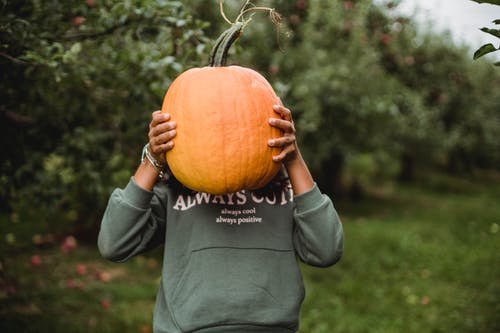 不可识别的族裔少年用新鲜南瓜在农田上遮住脸 · 免费素材图片