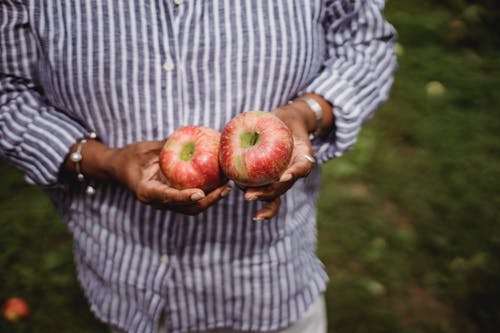 播种族裔女人用手中的苹果 · 免费素材图片