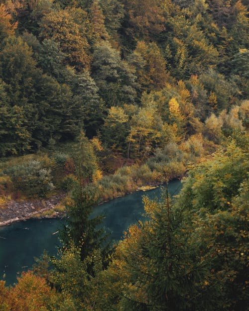 有关垂直拍摄, 天性, 户外的免费素材图片