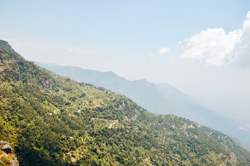 有关冷静, 华丽的, 原本的免费素材图片