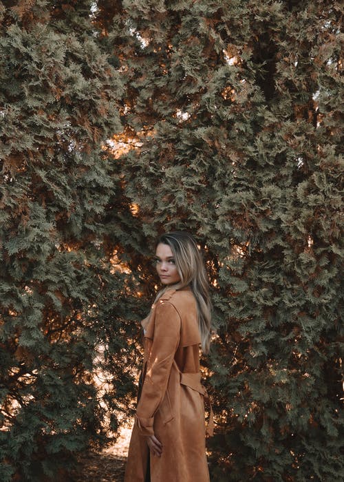 有关下落, 休息, 休闲的免费素材图片