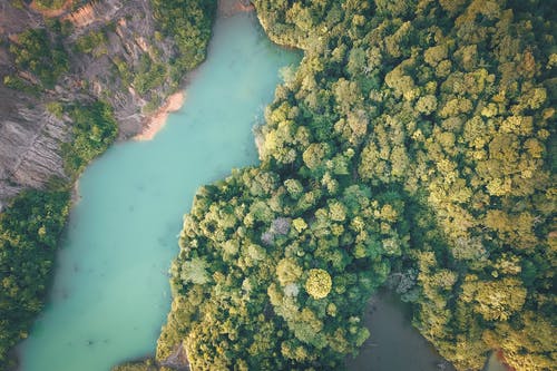 有关不变, 冷静, 华丽的的免费素材图片