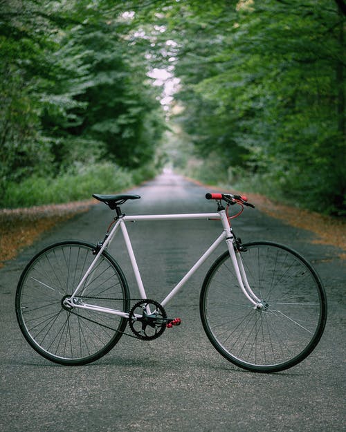 有关垂直拍摄, 户外, 树木的免费素材图片