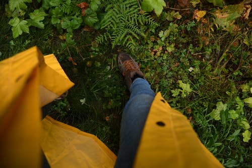 在花园里的植物附近种植明亮的雨衣的人 · 免费素材图片