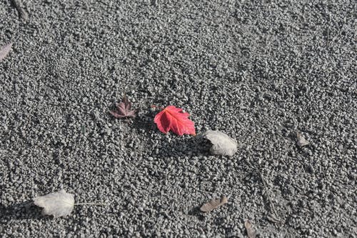 有关下落, 不均匀的, 乾旱的免费素材图片