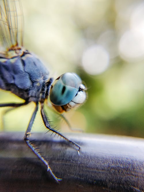 有关保存, 光滑, 冷静的免费素材图片
