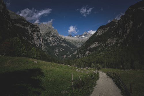 有关冷静, 和平的, 和谐的免费素材图片