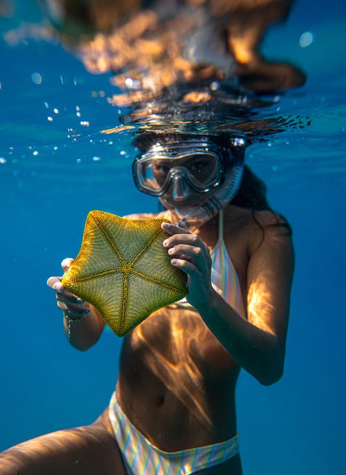 在海中浮潜时按住海星的女人 · 免费素材图片