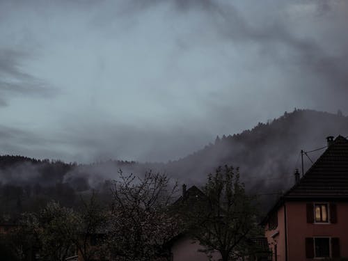 有关冷静, 华丽的, 和平的的免费素材图片