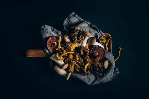 黑白纺织的棕色和白色动物头骨 · 免费素材图片