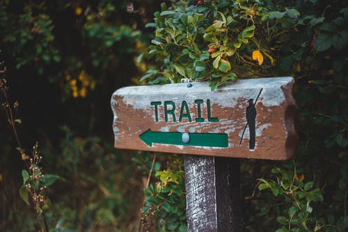 有关信, 增长, 天性的免费素材图片