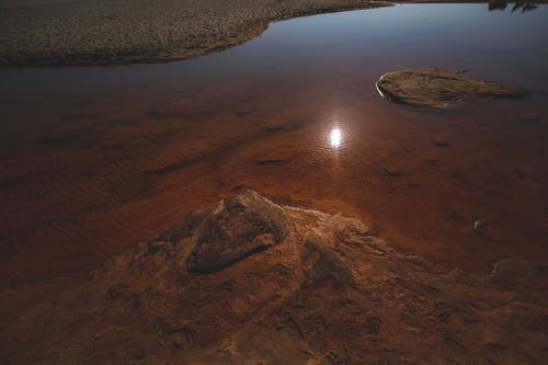 有关冷靜, 反射, 和平的免费素材图片