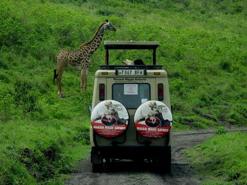 有关冒险, 坦桑尼亚, 旅行的免费素材图片