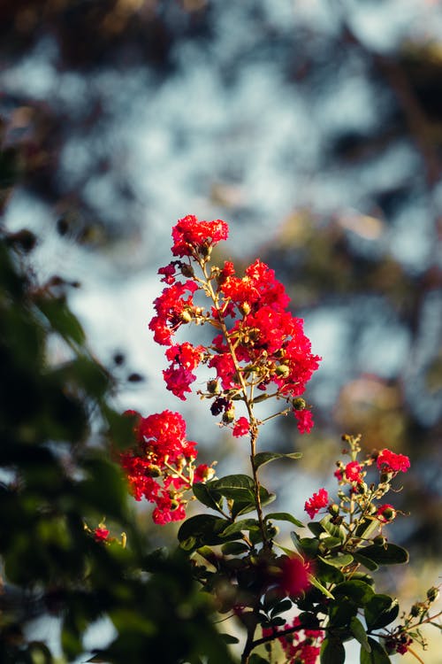 有关充满活力, 公园, 冷静的免费素材图片