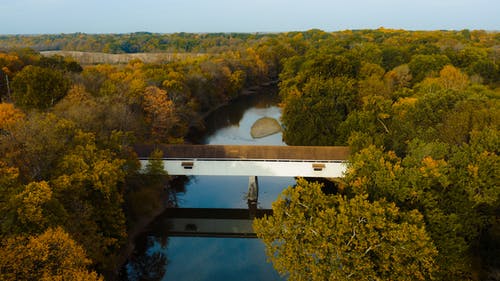 有关Copyspace, 下落, 不变的免费素材图片