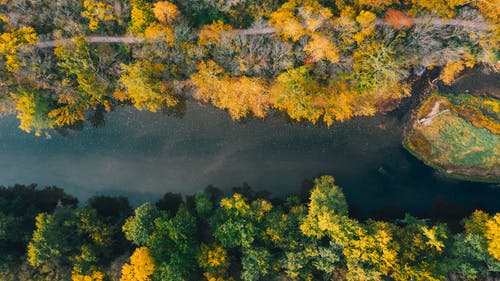 有关下落, 不变, 俯视图的免费素材图片